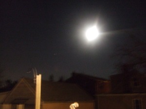 Night of the Big Moon